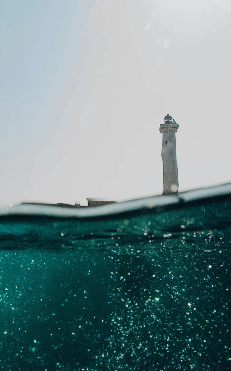 The End of Typing: How to Dominate Search When Your Customers Stop Using Their Keyboards