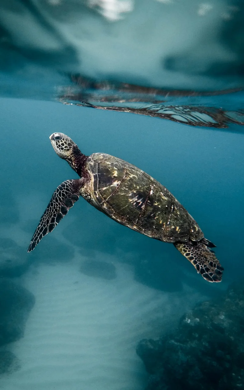 El marketing B2B en 2026: qué está cambiando realmente y qué no